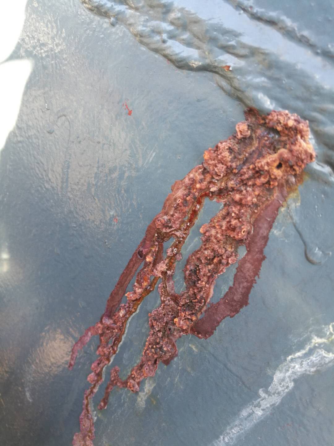 脫硫系統(tǒng)中碳鋼腐蝕分析 脫硫系統(tǒng)中碳鋼腐蝕分析